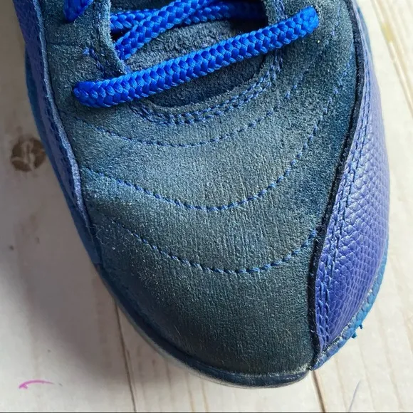 Air Jordan 12 Retro Deep Royal New Laces No Box Size 10