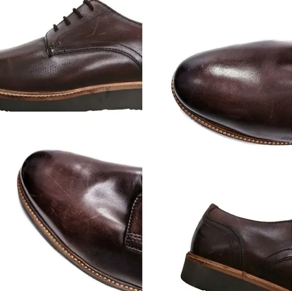 Base London Draco Derby Shoes in Brown Leather