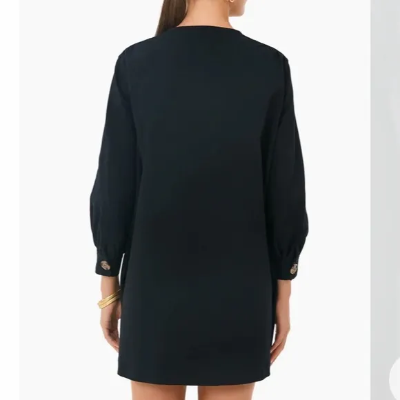Black Blake DressTUCKERNUCK