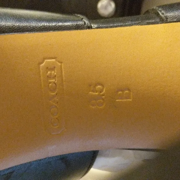 Coach Leslie Lace Up Sandals