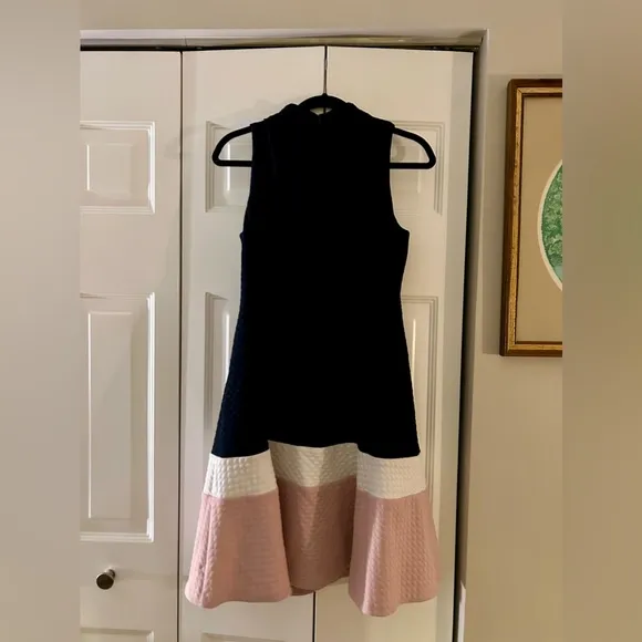 Eliza J Women's 8 Retro, Mod Inspired, Textured Dark Navy, White, &amp; Pink Dress
