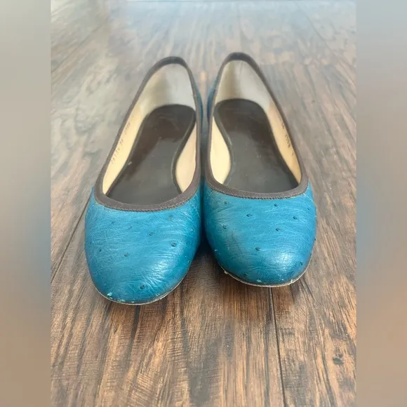 Giuseppe Zanotti women’s Ostrich Grosgrain Trim teal ballet flat size 6