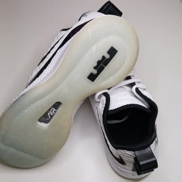 NIKE LEBRON WITNESS 3 PRM CONCORD