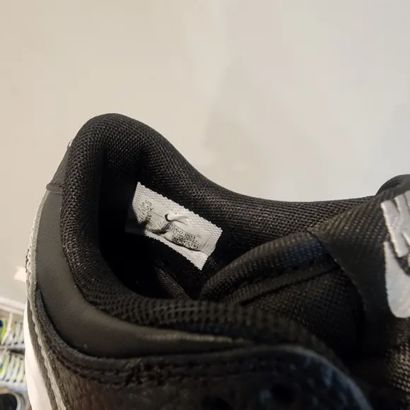 Nike's Dunk Low NBA 75th Anniversary Spurs (Gradeschool)