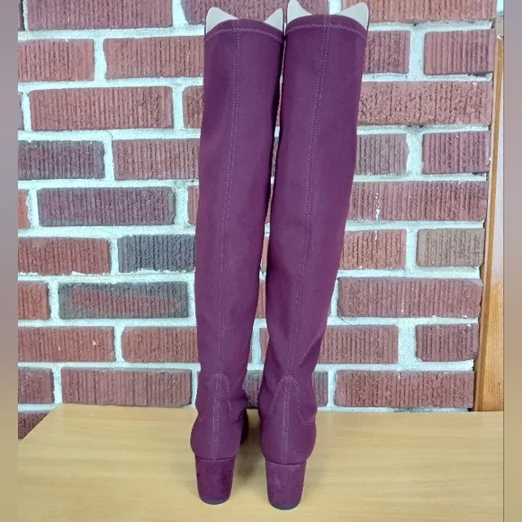 NWT Stuart Weitzman 'Gillian' Knee High Genuine Suede Heeled Boots in Burgundy