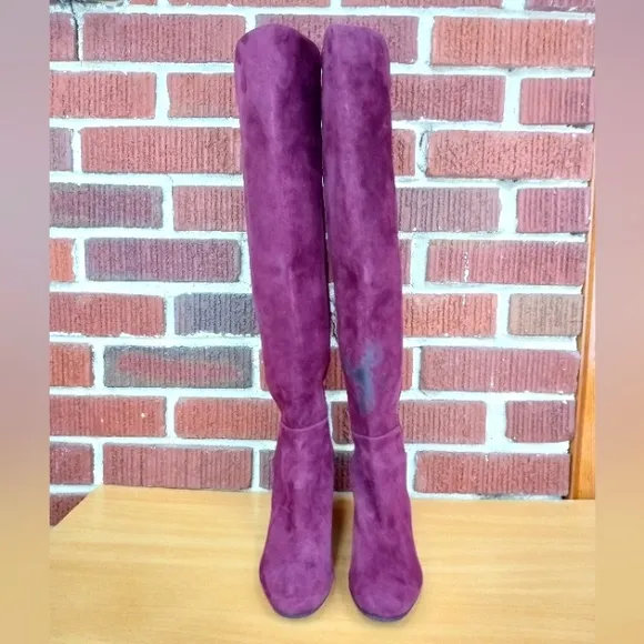 NWT Stuart Weitzman 'Gillian' Knee High Genuine Suede Heeled Boots in Burgundy