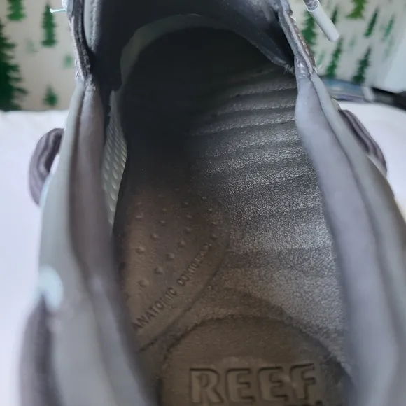 Reef Swellsole Skipper