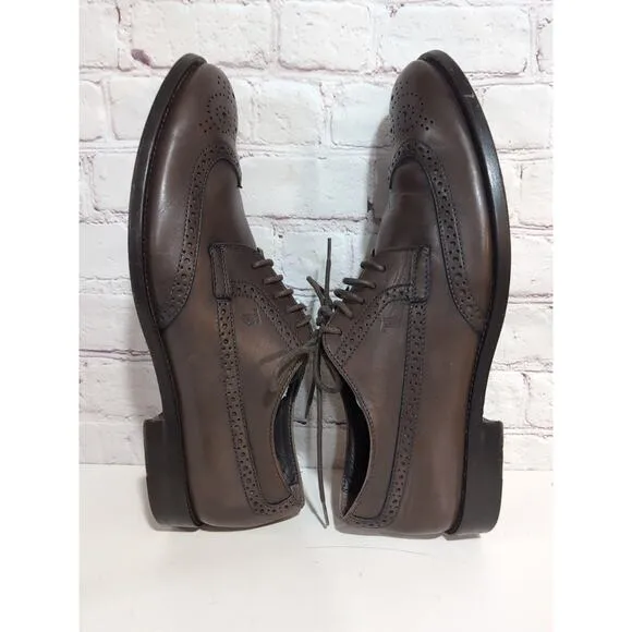 Tod's Wingtip Brogues Oxfords Brown Leather Mens Shoe Size US 8 $680