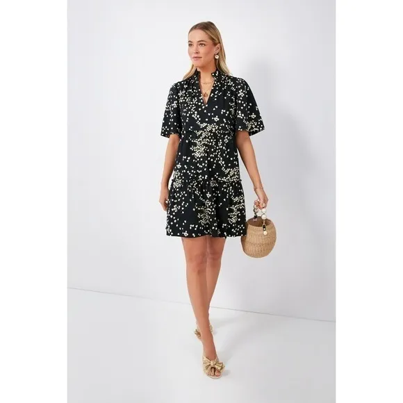 Tuckernuck‎ dress size L Crawford Tossed Floral mini swing