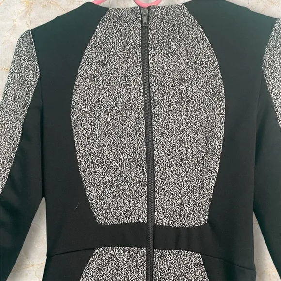 W118 by Walter Baker. Dress XS black/white/grey color block long sleeve zippers