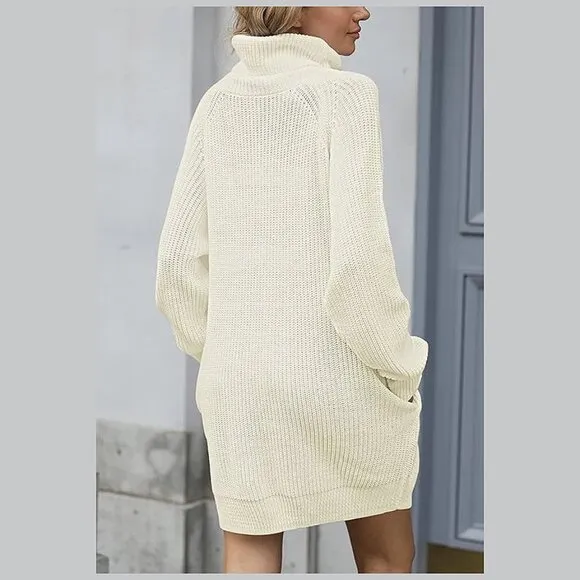 Women's Loose Turtleneck Oversize Long Pullover Sweater Dress Light Beige